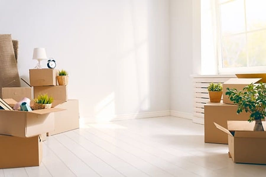 Empty apartment with moving boxes and sunlight, ready for move-out cleaning