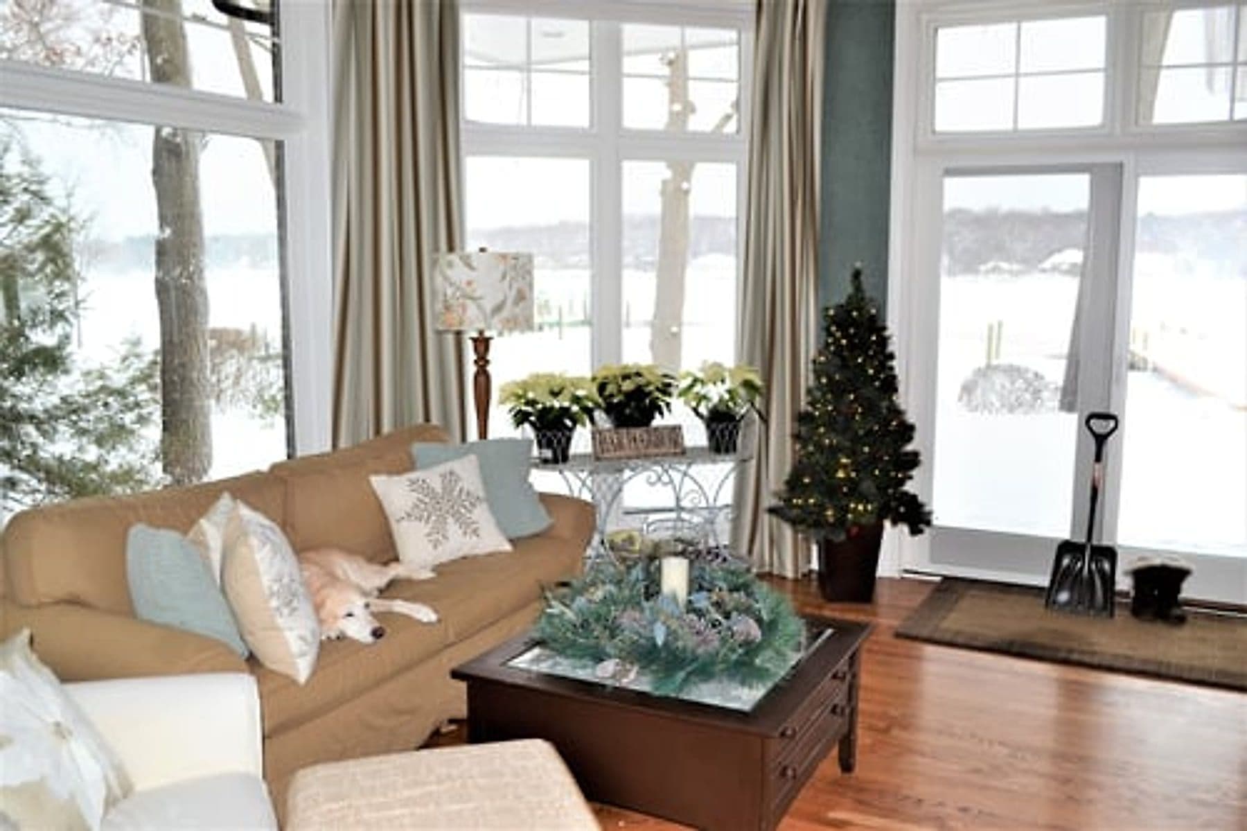 Bright, freshly cleaned living room with large windows in Jacksonville, FL